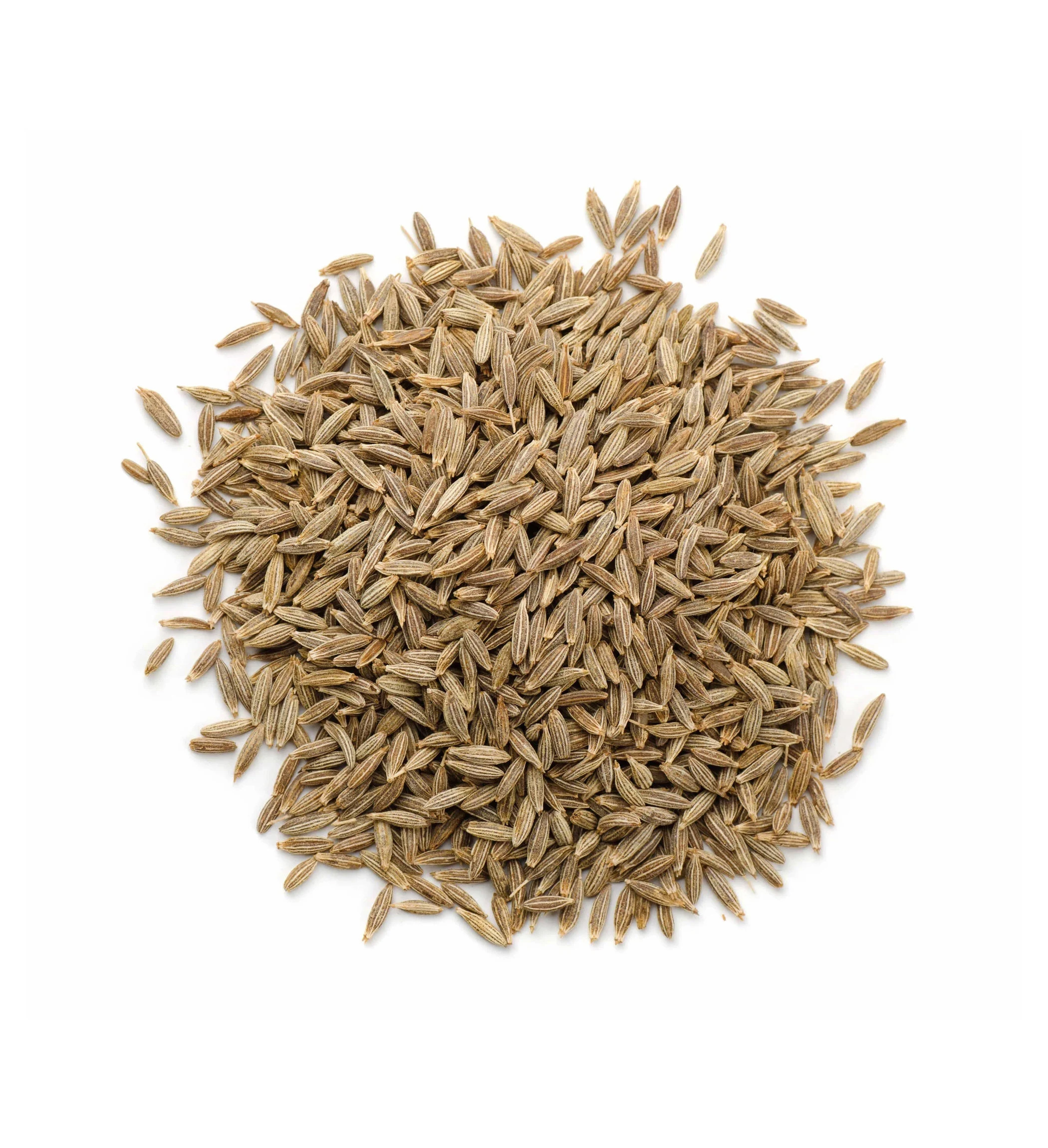 Cumin Seeds